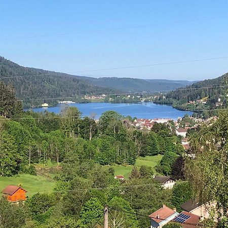 F3 Superbe Vue Lac, Grand Balcon, Ambiance Nature Gérardmer Extérieur photo