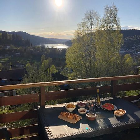 F3 Superbe Vue Lac, Grand Balcon, Ambiance Nature Gérardmer Extérieur photo